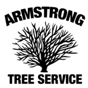 (c) Armstrongtreeservice.com
